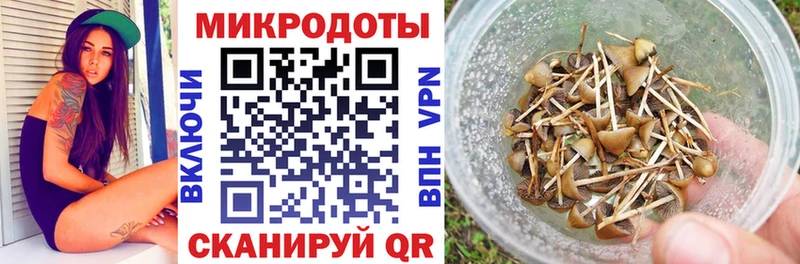 ссылка на мегу как зайти Покров Псилоцибиновые грибы мицелий